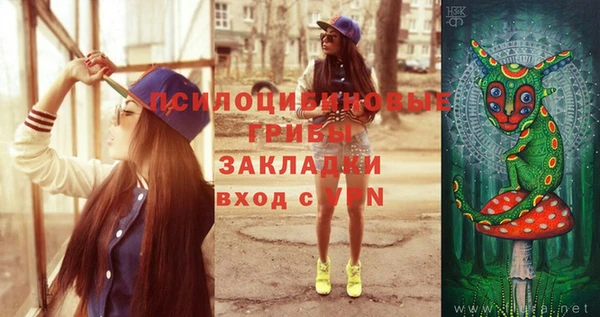 эйфоретик Алексеевка