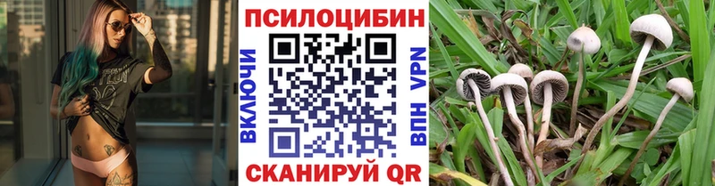 Галлюциногенные грибы Psilocybine cubensis  Алупка 